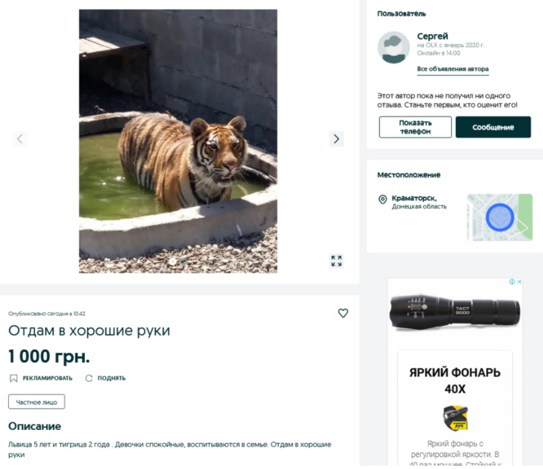 В Україні продають за тисячу гривень тигра і лева: &quot;в хороші руки&quot;