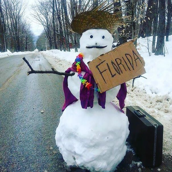 Сніговик хоче у Флориду