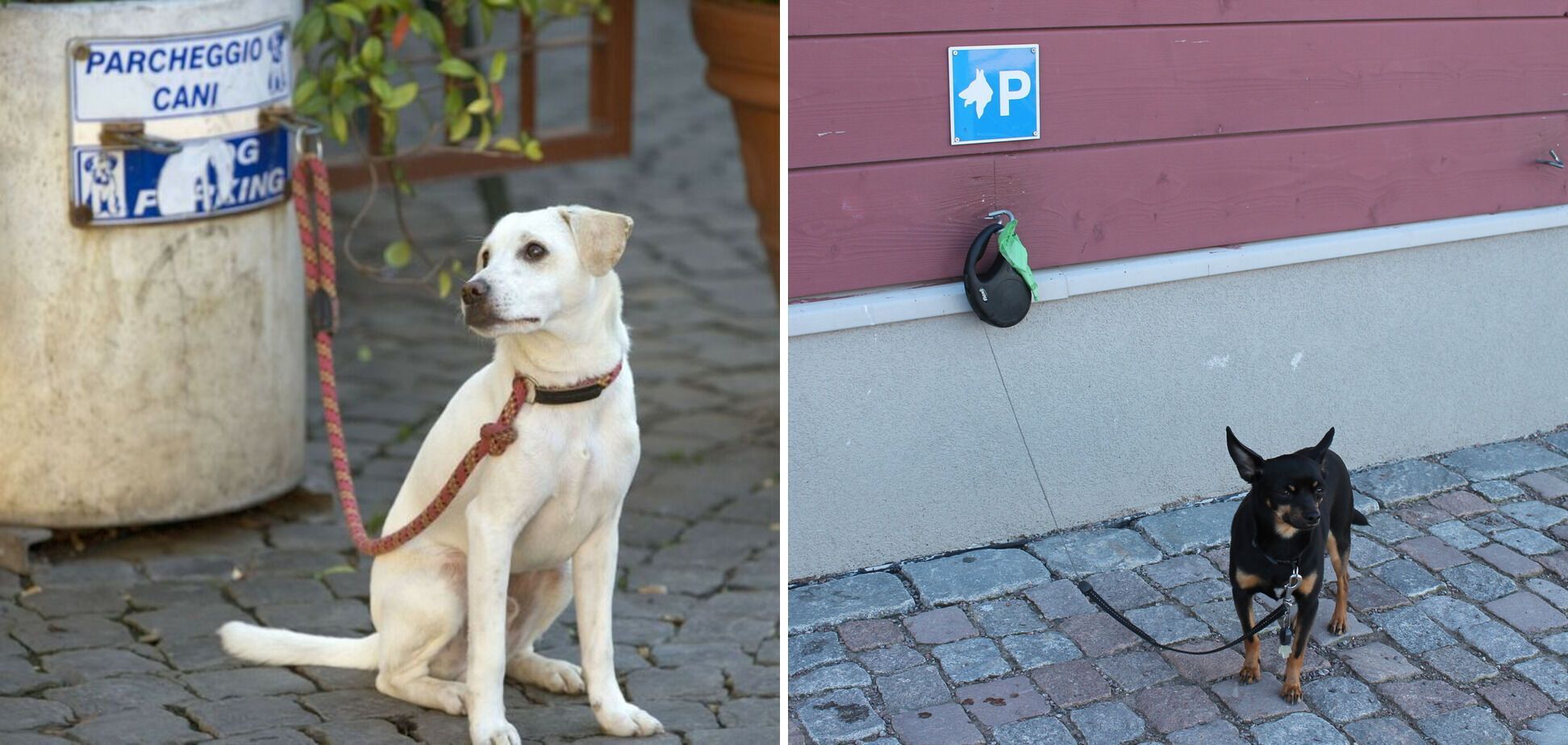 В Італії є парковки для тварин