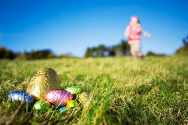 На Великдень у Франції батьки ховають шоколадні яйця в саду