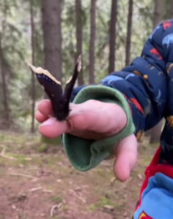 Метелик на руці у дитини