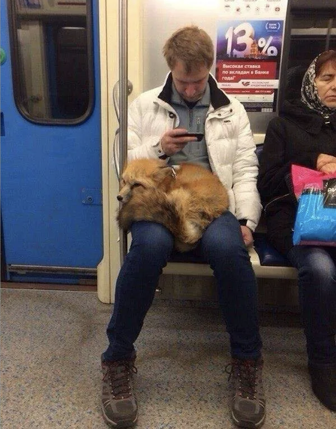 У київському метро помітили лисицю