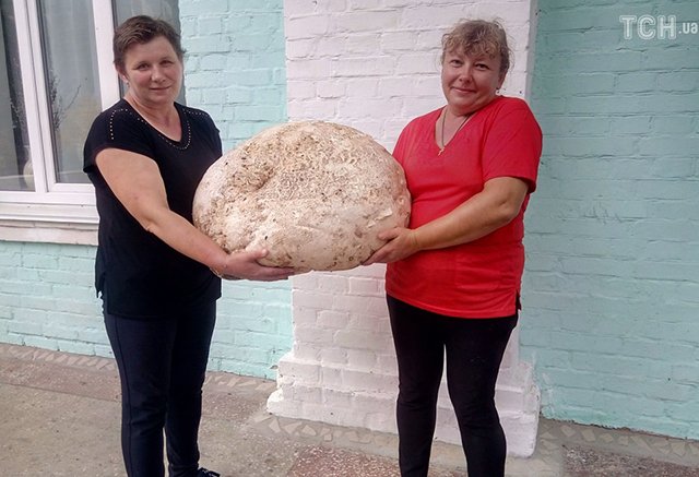На Київщині знайшли велетенський гриб: вражаючі фото