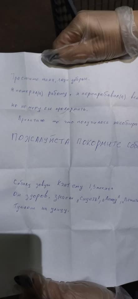 У Запоріжжі перед входом в торговий центр знайшли собаку з запискою: що там написано