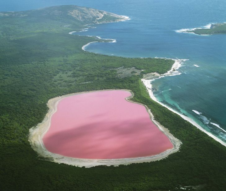 Рожеве озеро Хілліер в Австралії