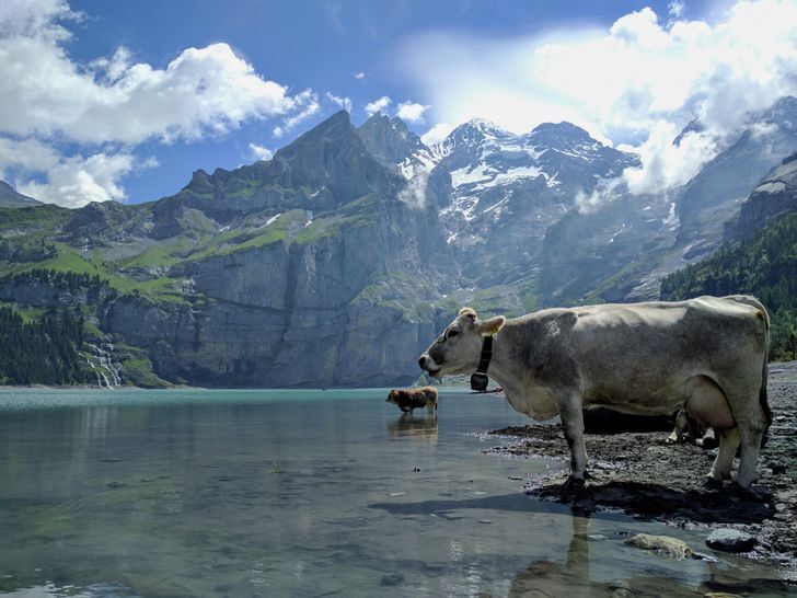 Озеро Ешинен у Швейцарії