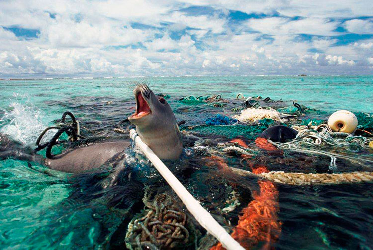 Врятувати океани від пластикового сміття