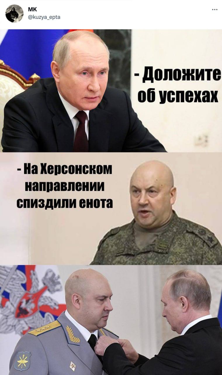 Під час втечі з Херсона окупанти вкрали єнота. Мережа вибухнула мемами 05