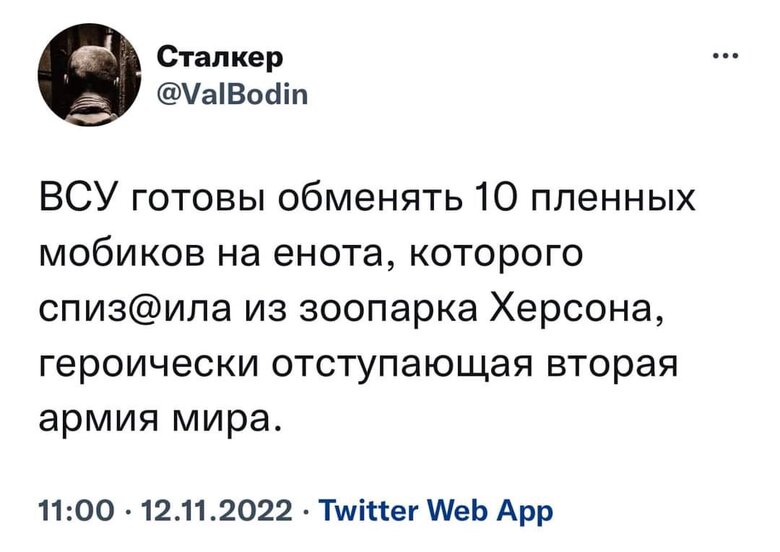 Під час втечі з Херсона окупанти вкрали єнота. Мережа вибухнула мемами 04