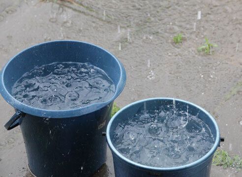 Німці набирають дощову воду