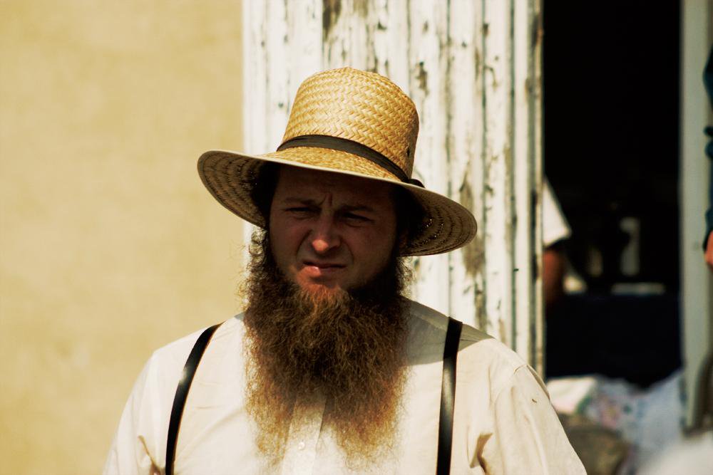 Image result for amish beard with mustache