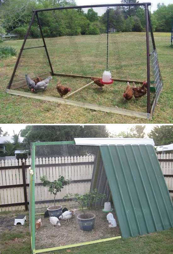 chicken-coop (7)