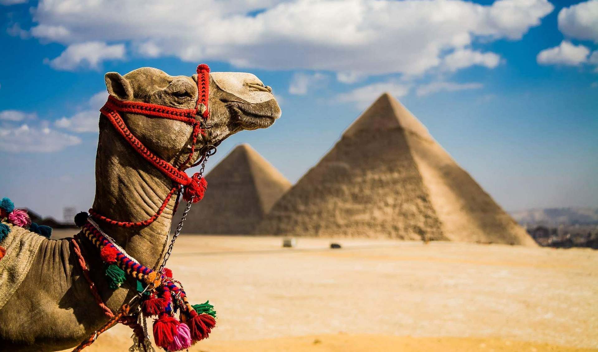 Самостійний відпочинок у Єгипті вийде набагато дорожчим, ніж пакетний тур