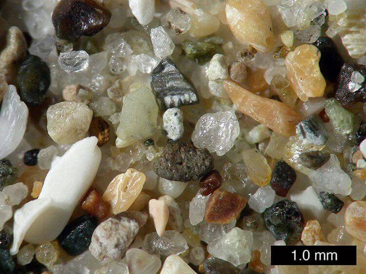 Під мікроскопом пісок виглядає абсолютно не таким, яким ми звикли його бачити