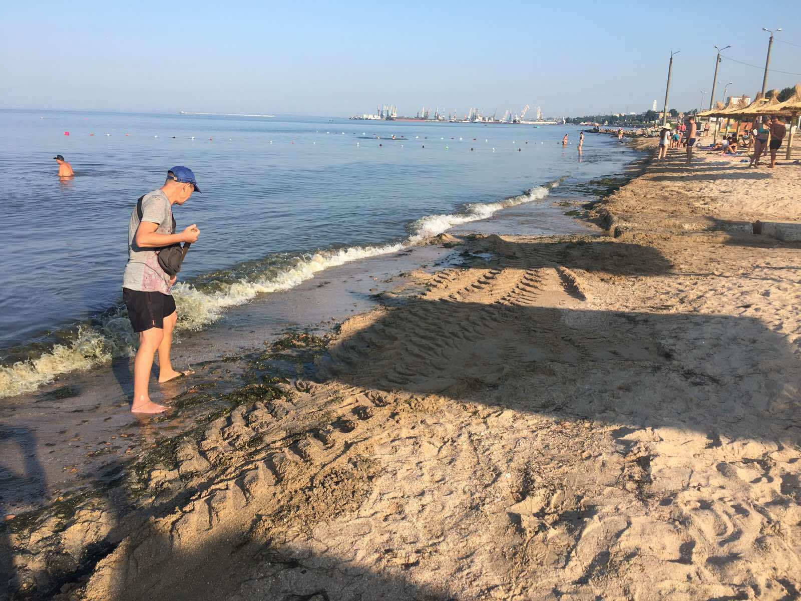 У Бердянську прибирають з пляжів водорості