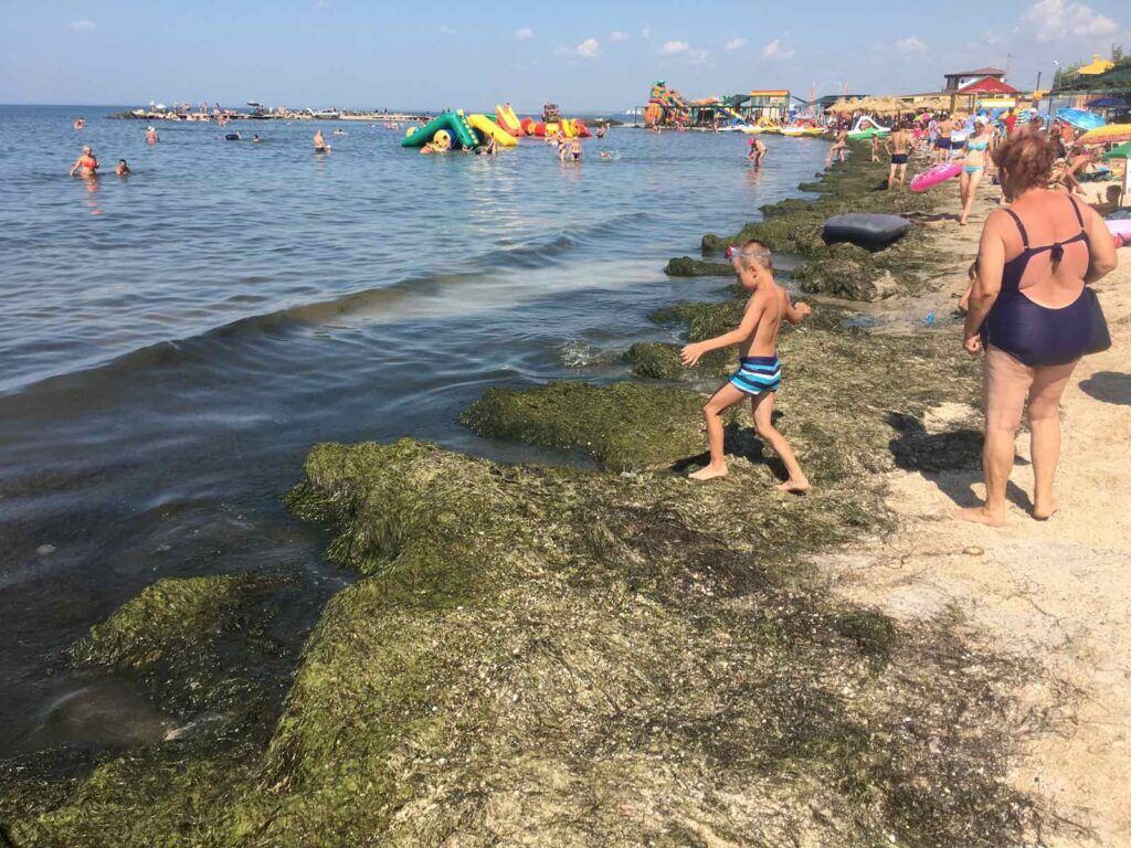 Люди відпочивають у Бердянську посеред водоростей