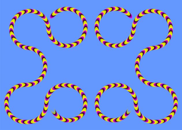 оптичні ілюзії: змії