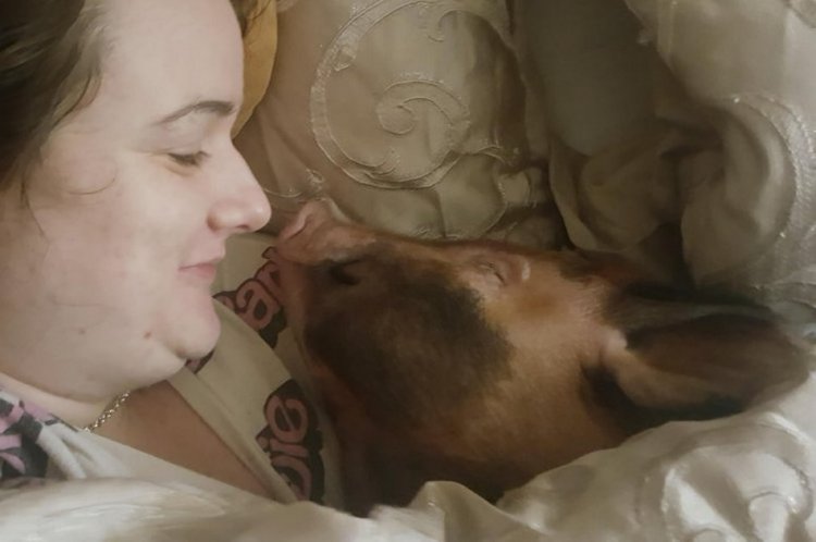 Сім'я ділить ліжко зі свинею і скунсом