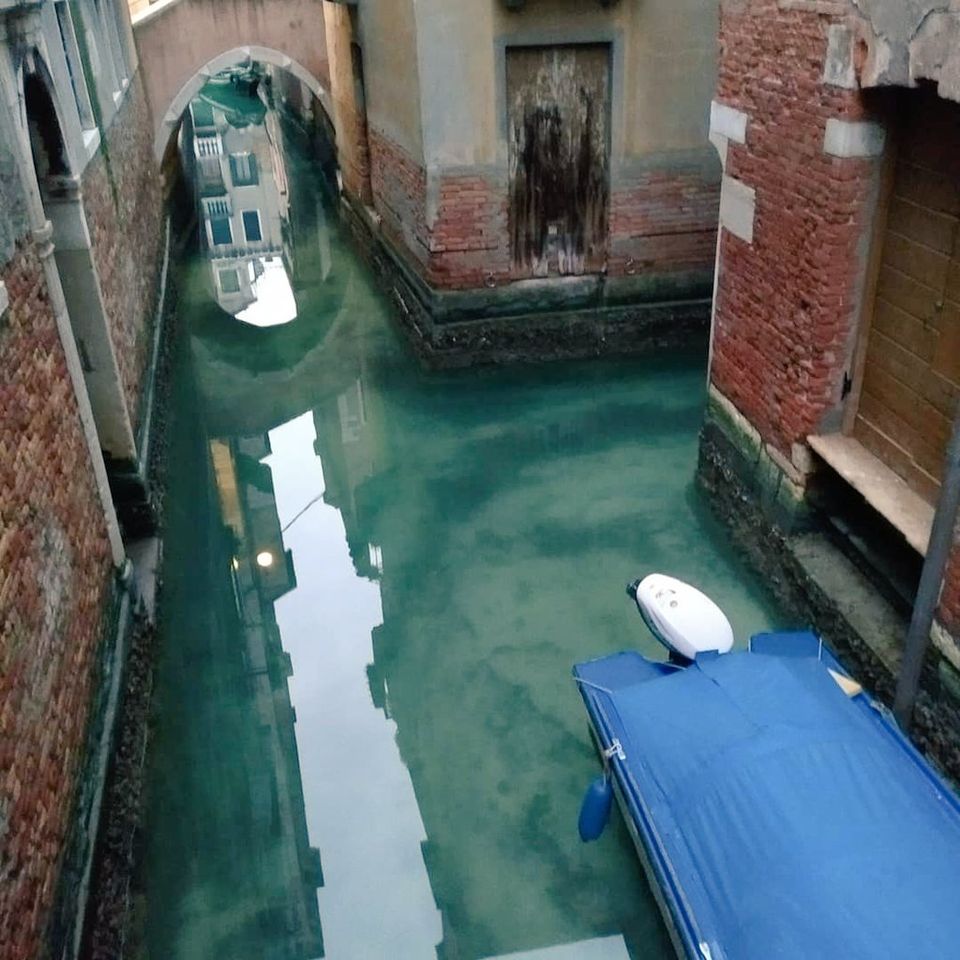 Результат пошуку зображень за запитом Земля очищається: У каналах Венеції вода стала прозорою (фото, відео)