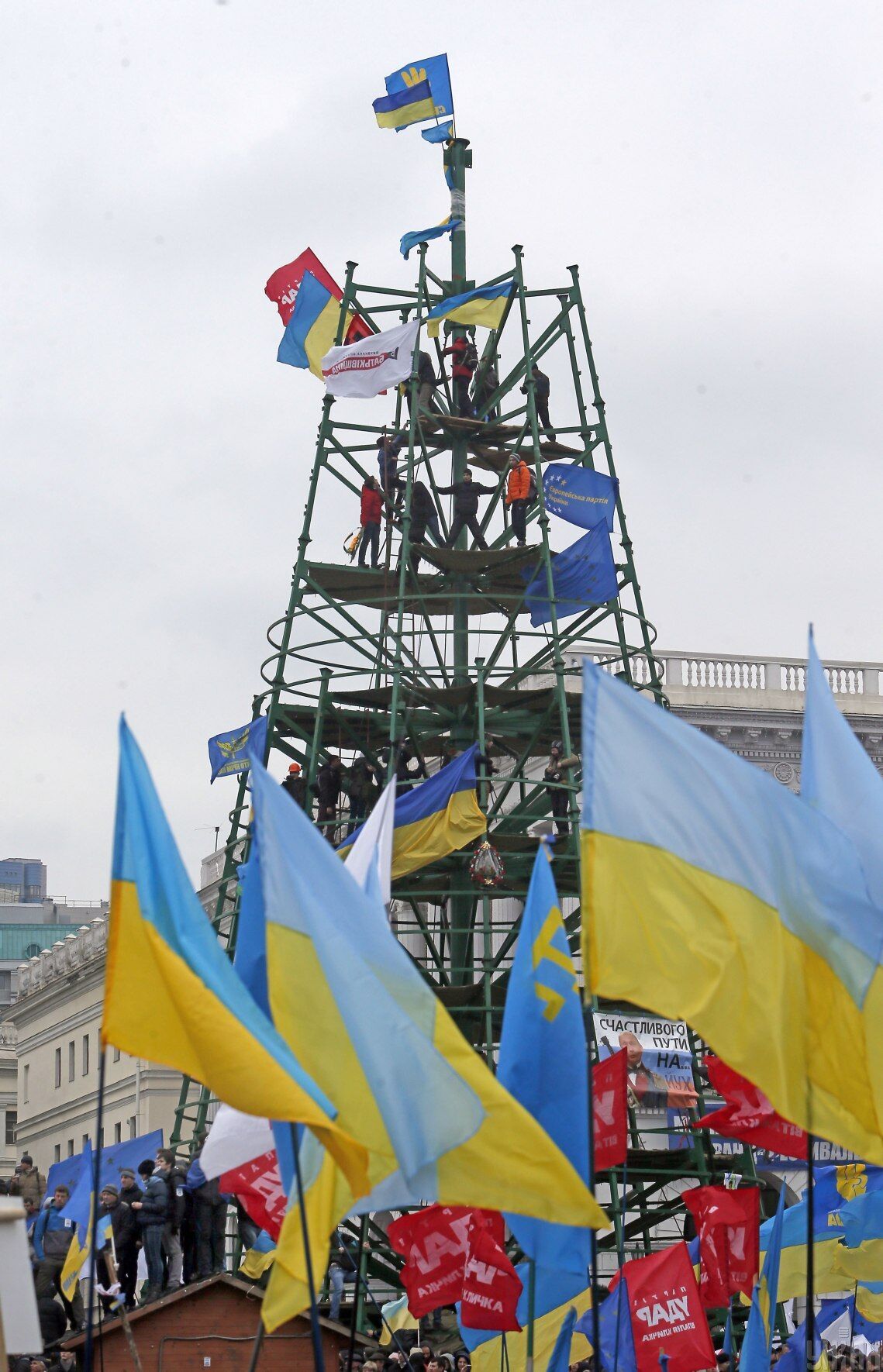 Новорічна ялинка на Майдані, 1 грудня 2013 року